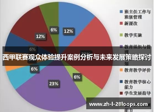 西甲联赛观众体验提升案例分析与未来发展策略探讨